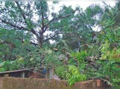 ಪರಿಹಾರಕ್ಕೆ ಪರಿತಾಪ