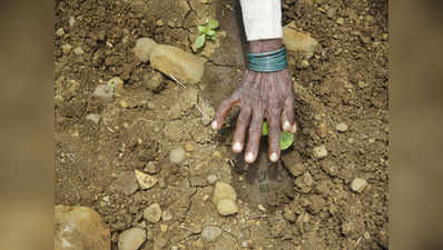 नागपुर: मॉनसून कमजोर, जलाशयों में पानी नहीं, बुआई में देरी से किसानों को चिंता बढ़ी