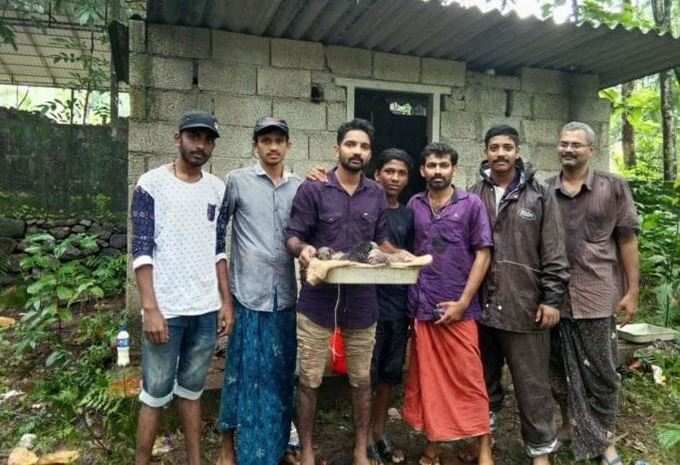 ടാറിൽ കുരുങ്ങി കിടന്ന ഏഴു നായക്കുഞ്ഞുങ്ങൾക്ക് പുതുജീവൻ