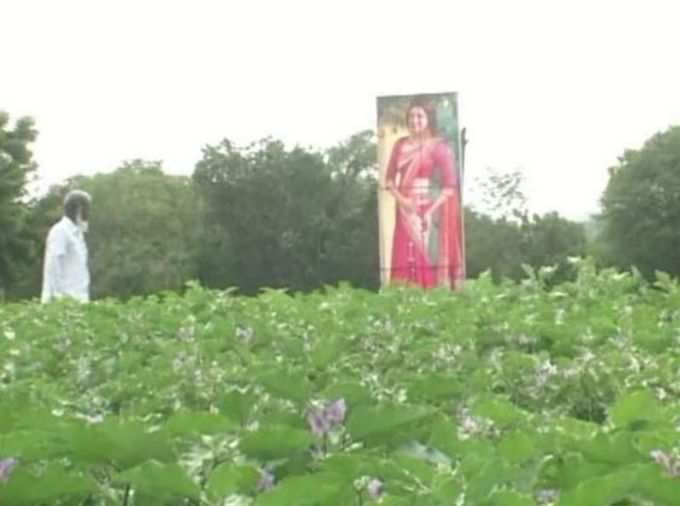 ಹೊಲದಲ್ಲಿ ಕಾಜಲ್ ಅಗರವಾಲ್ ಕಟೌಟ್