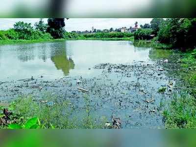 ಸಾಂಕ್ರಾಮಿಕ ರೋಗಗಳ ಆಗರವಾದ ಕೆರೆ