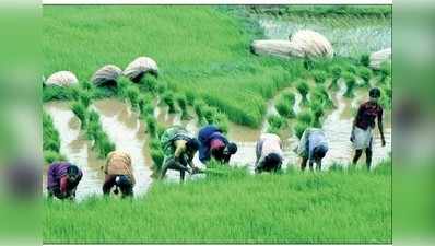 ಬಜೆಟ್‌ನಲ್ಲಿ ಹಳೆಮೈಸೂರಿಗೆ ಬಂಪರ್‌ ಕೊಡುಗೆ, ಕೃಷಿಗೆ ಒತ್ತು ನಿರೀಕ್ಷೆ