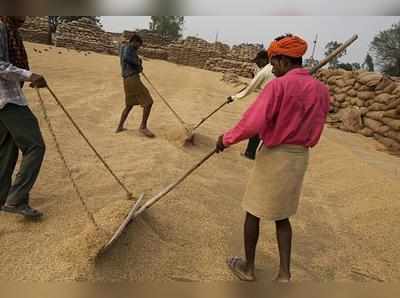 நெல்லுக்கு ஆதார விலையை உயர்த்த மத்திய அமைச்சரவை ஒப்புதல்