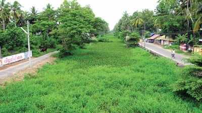 ജലടൂറിസം വരുന്നു; പുഴ ശുചീകരണത്തിന് നേരിട്ടെത്തി മുഖ്യമന്ത്രി