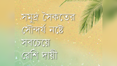 সমুদ্র সৈকতের সৌন্দর্য নষ্টে সবচেয়ে বেশি দায়ী