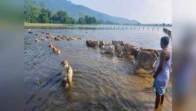 असम: लगातार बढ़ रहा ब्रह्मपुत्र का जलस्तर, जल आयोग ने जताई खतरे की आशंका