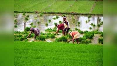 మ‌ద్ద‌తు ధ‌ర పెంపు: ద‌్ర‌వ్యోల్బ‌ణంపై ప్ర‌భావం