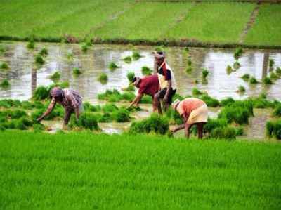 మ‌ద్ద‌తు ధ‌ర పెంపు: ద‌్ర‌వ్యోల్బ‌ణంపై ప్ర‌భావం