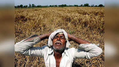 बुलंदशहर: बार‍िश बगैर धान रोपाई क‍िसानों के ल‍िए मुसीबत