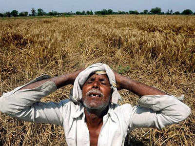 बुलंदशहर: बार‍िश बगैर धान रोपाई क‍िसानों के ल‍िए मुसीबत