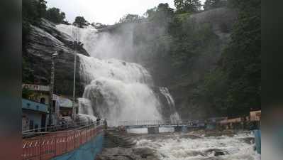 குற்றாலம் அருவிகளில் கொட்டும் நீர் :சுற்றுலா பயணிகள் உற்சாகம்