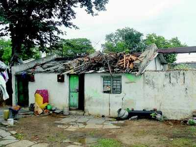 ವಿಷ ಜಂತುಗಳ ಜತೆ ನಿತ್ಯ ಹೋರಾಟ