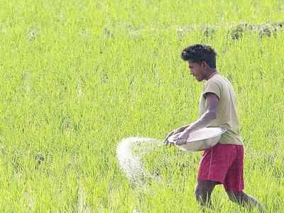 रासायनिक खतांची खरेदी करताना काळजी घ्या