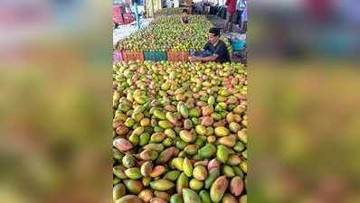 ಇಂದಿನಿಂದ ಮಾರಾಟವಾಗುವ ಮಾವಿಗೆ ಬೆಂಬಲ ಬೆಲೆ