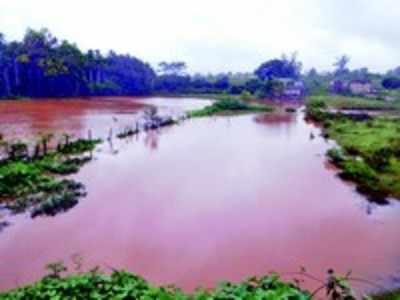 ಮಳೆಗೆ ಸಾವಿರಾರು ಎಕರೆ ಗದ್ದೆ ಜಲಾವೃತ