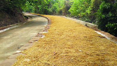 ಇಂದಿನಿಂದ ಶಿರಾಡಿ ರಸ್ತೆ ಸಂಚಾರಕ್ಕೆ ಮುಕ್ತ