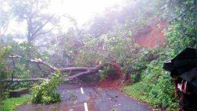 கனமழை எச்சரிக்கை; நீலகிரியில் நாளை பள்ளிகளுக்கு விடுமுறை!