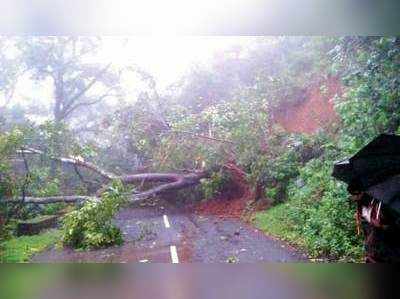 கனமழை எச்சரிக்கை; நீலகிரியில் நாளை பள்ளிகளுக்கு விடுமுறை!