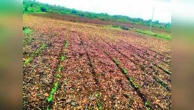 ಸ್ವಂತ ಹಣದಲ್ಲಿಯೇ ಬಾವಿಯ ಹೂಳು ತೆಗೆದ ನಿವಾಸಿಗಳು