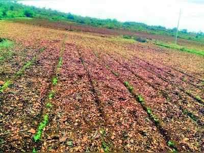 ಸ್ವಂತ ಹಣದಲ್ಲಿಯೇ ಬಾವಿಯ ಹೂಳು ತೆಗೆದ ನಿವಾಸಿಗಳು