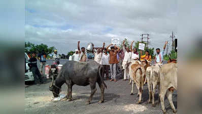 दूधबंदी: गाय-भैंस के साथ सड़कों पर उतरे महाराष्‍ट्र के किसान