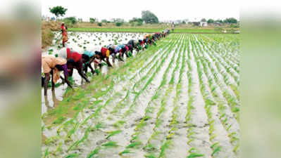 ಬೆಳೆ ವಿಮೆ: ಕಂಪನಿಗಳಿಗೆ ಭರ್ಜರಿ ಲಾಭ