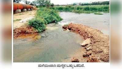 ಕೊಳಚೆ ನೀರು ಮಿಶ್ರಣವಾಗಿದ್ದೇ ವಿಷಕಾರಿ ನೊರೆಗೆ ಕಾರಣ