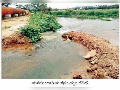 ಕೊಳಚೆ ನೀರು ಮಿಶ್ರಣವಾಗಿದ್ದೇ ವಿಷಕಾರಿ ನೊರೆಗೆ ಕಾರಣ