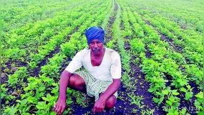 ಸಾಲ ಮಾಡಿ ಕಳೆನಾಶಕ ಖರೀದಿಸಿ ಕಂಗಾಲಾದ ರೈತ