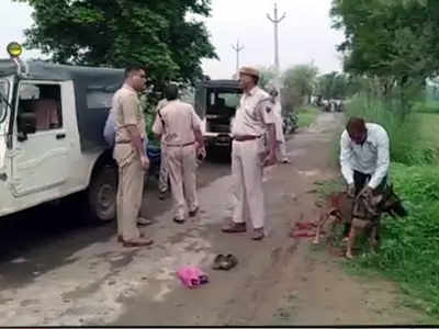 Alwar Lynching: गो तस्करीच्या संशयावरून एकाची हत्या