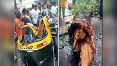 मुुंबई में पेड़ ग‍िरने से डेढ़ महीने में सातवीं मौत