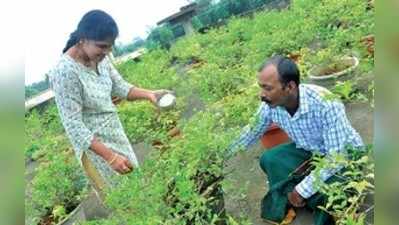 ಸ್ವಾವಲಂಬಿ ಬದುಕಿಗೆ ಹೂವಾಯಿತು ದಾರಿ