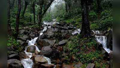 ಮಳೆಗಾಲದಲ್ಲೊಂದು ಚಿಕ್ಕಮಗಳೂರು ಟ್ರಿಪ್‌