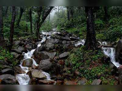 ಮಳೆಗಾಲದಲ್ಲೊಂದು ಚಿಕ್ಕಮಗಳೂರು ಟ್ರಿಪ್‌