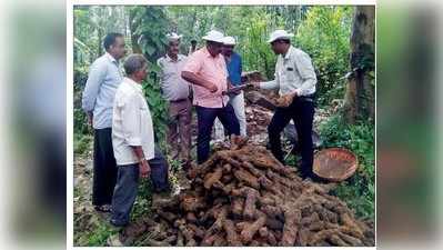 ಟಿಪ್ಪು ಕಾಲದ ರಾಕೆಟ್‌ಗಳು ಬಾವಿಯಲ್ಲಿ ಪತ್ತೆ