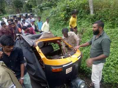 ಆಟೋ ಮೇಲೆ ಕಾಡಾನೆ ದಾಳಿ