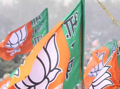 पश्चिम बंगाल से भागे BJP के 80 ग्राम पंचायत सदस्यों को झारखंड में पनाह, TMC पर हिंसा का आरोप