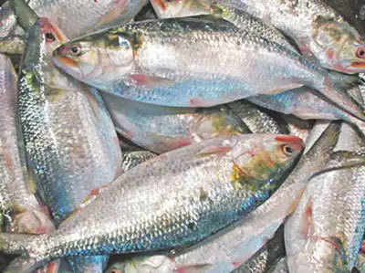 गोवाः मछली आयात से रोक हटाएगी सरकार, सीमा पर जांच के बाद आएगी खेप