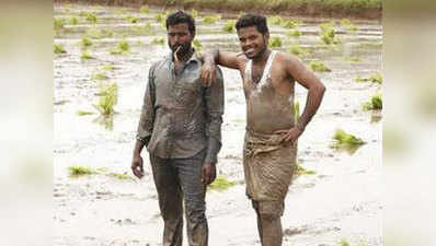 तेलंगाना: युवकों ने खेतों में बैलों के साथ लिया किकी चैलेंज, विडियो वायरल