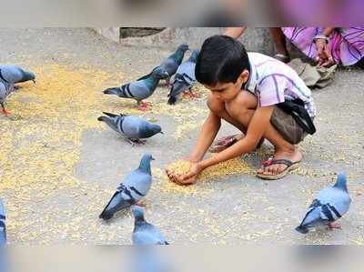 ಶಿಶುಗೀತೆ: ಗೆಳೆಯರಿಲ್ಲದ ಕಿಟ್ಟು