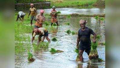 सामान्य से कम बरस सकता है मॉनसून पर किसानों के लिए चिंता की बात नहीं