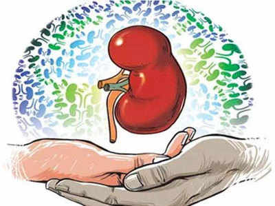 20 वर्षीय बेटे का हुआ ब्रेन डेड, माता-पिता ने पेश की मानवता की मिसाल