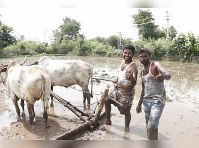 కికి ఛాలెంజ్.. ‘విజేతలు’ మన తెలుగు రైతన్నలే!