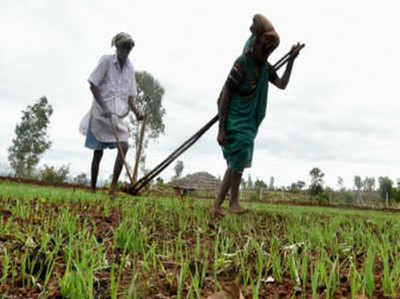 विकसित देशों की कृषि सब्सिडी के खिलाफ भारत-चीन ने मिलाया हाथ