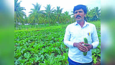 ಯೋಗೇಶ್‌ ಯೋಗ ಬದಲಿಸಿದ ವಿದೇಶಿ ವೆಜಿಟೇಬಲ್ಸ್‌