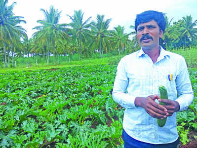 ಯೋಗೇಶ್‌ ಯೋಗ ಬದಲಿಸಿದ ವಿದೇಶಿ ವೆಜಿಟೇಬಲ್ಸ್‌