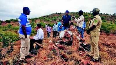 ಅಂತಾರಾಜ್ಯ ‘ಗಡಿ’ ಗೊಂದಲ