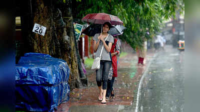 വയനാട്ടിലും നിലമ്പൂരിലും വിദ്യാഭ്യാസ സ്ഥാപനങ്ങൾക്ക് അവധി