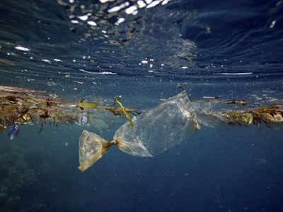 दुनिया के महासागरों में हर दिन 9 करोड़ 20 लाख किलोग्राम कचरा फेंक रहे हैं हम?