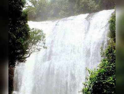 ಹಾಲ್ನೊರೆಯಂತೆ ಹರಿಯುವ ಚೇಲಾವರ ಜಲಪಾತ